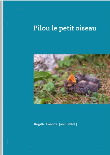 Pilou, le petit oiseau, livre Scéalprod